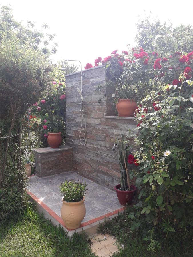 Apartamento Leader Mytikas  Exterior foto